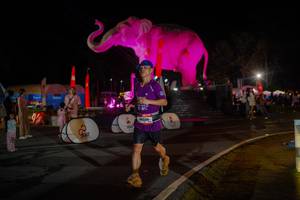 BIB: 
                            <button type="button" onclick="openModal(26552243)" class="btn btn-primary btn-sm float-right btn-popup" data-toggle="modal" data-target=".modal-high-quality">
                        <i class="fas fa-shopping-cart"></i> Add to Cart
                    </button>
                                            <button type="button" onclick="isThisMe(26552243, true)" class="btn btn-success btn-sm float-right btn-popup btn-isme hidden" data-toggle="tooltip" data-placement="bottom" title="นี่คือรูปของคุณใช่ไหม คลิกที่นี่เพื่อเอาเข้าอัลบั้ม">
                        <i class="fas fa-plus"></i> Add to album
                    </button>
                    <button type="button" onclick="isThisMe(26552243, false)" class="btn btn-warning btn-sm float-right btn-popup btn-isnotme hidden">
                        <i class="fas fa-ban"></i> Remove from album
                    </button>